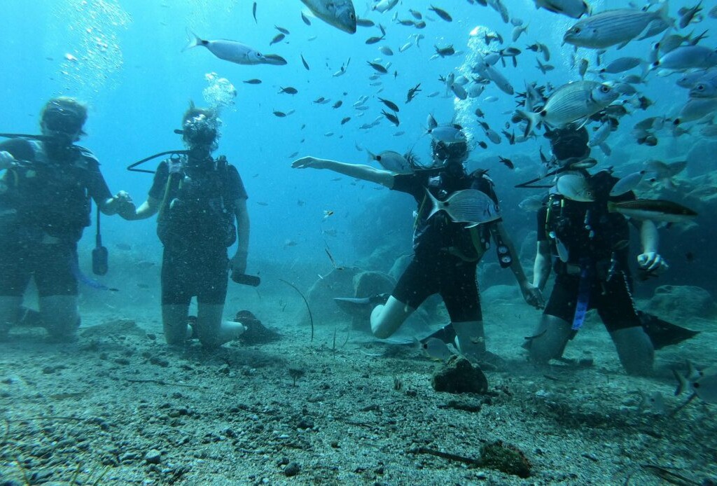 Activities in Sivota Area